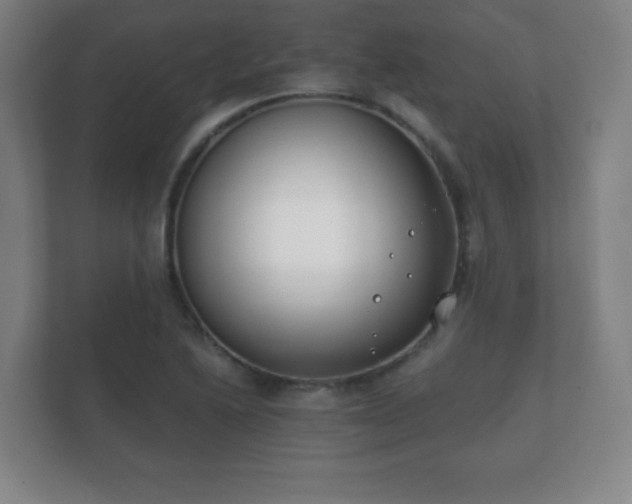 X0000112181222200908141319