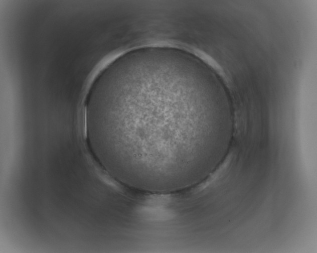 X0000112181223200908141319