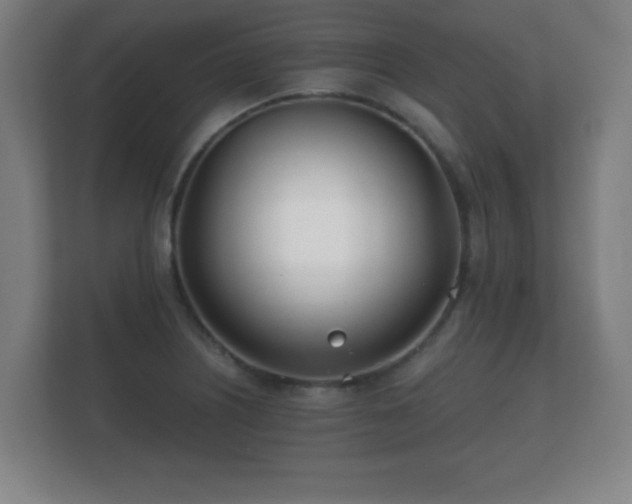 X0000112181226200908141319