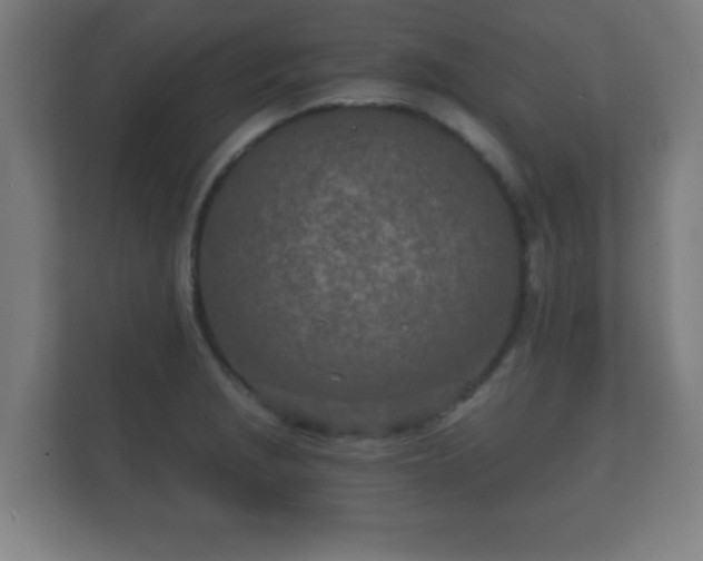 X0000112181229200908141319