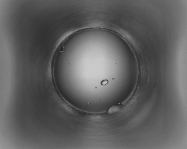 X0000112181230200908141319