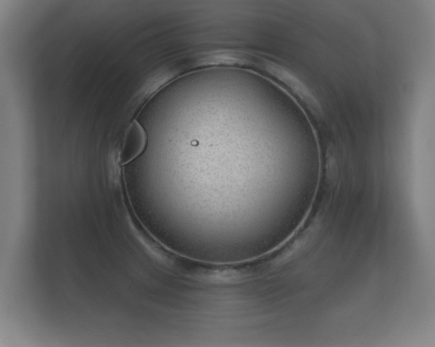 X0000112181233200908141319