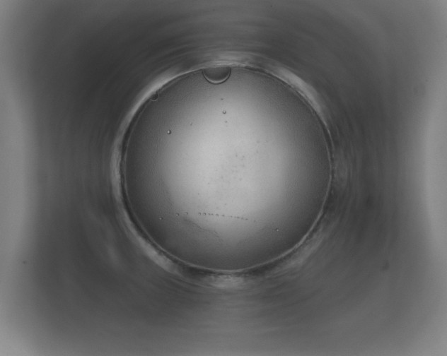 X0000112181235200908141319