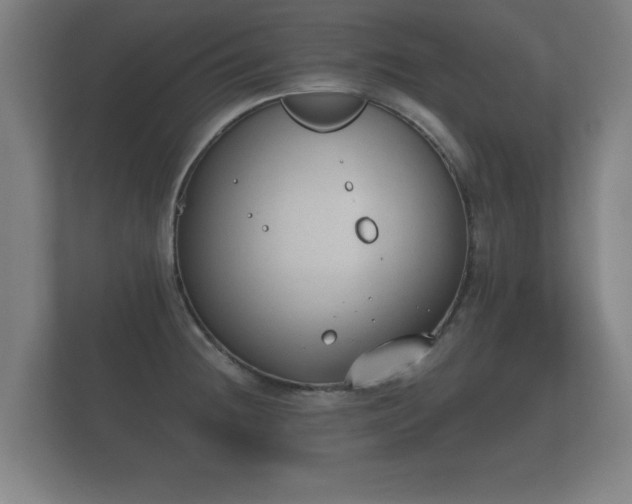 X0000112181236200908141319