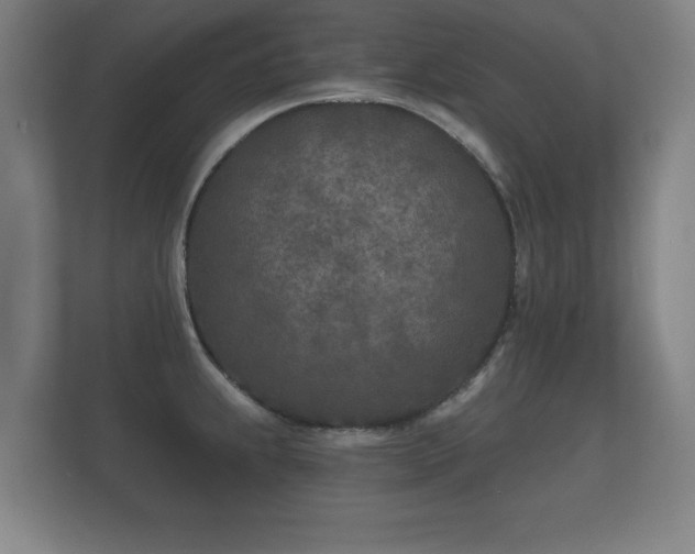 X0000112181239200908141319