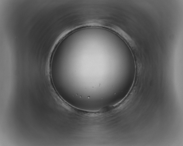 X0000112181240200908141319