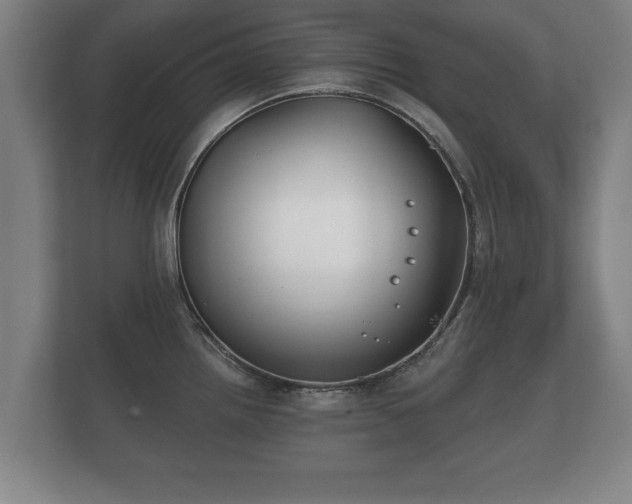 X0000112181242200908141319