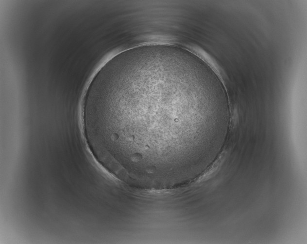 X0000112181243200908141319