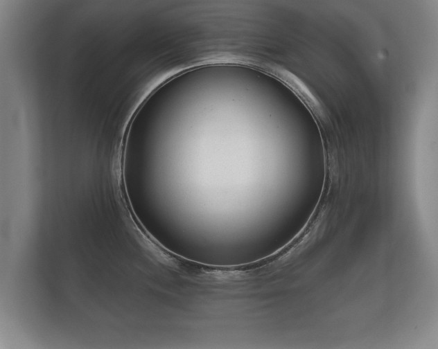 X0000112181244200908141319