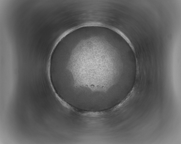 X0000112181245200908141319