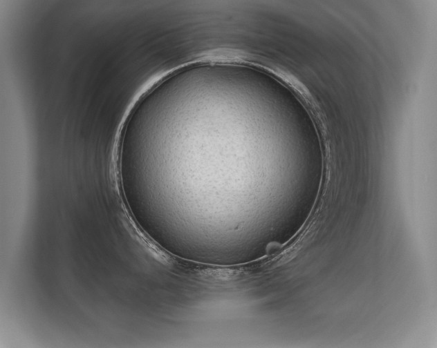 X0000112181248200908141319