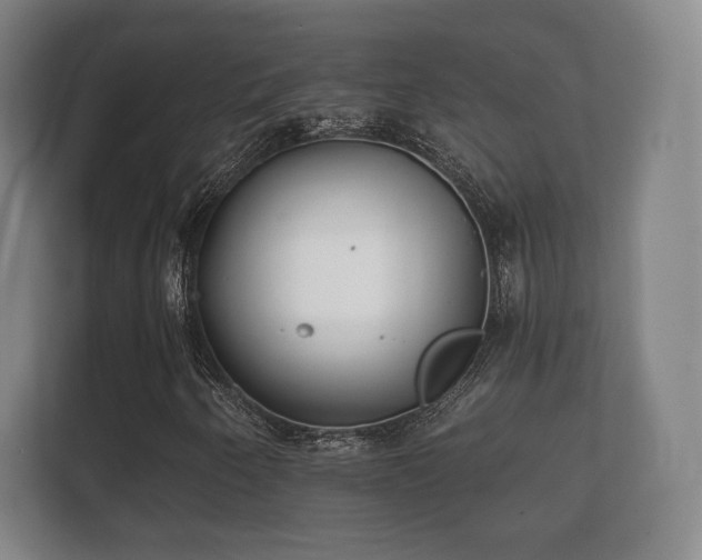 X0000112181250200908141319