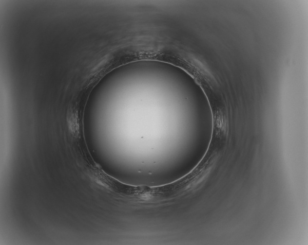 X0000112181252200908141319