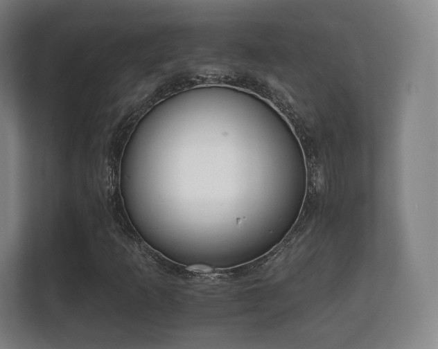 X0000112181253200908141319