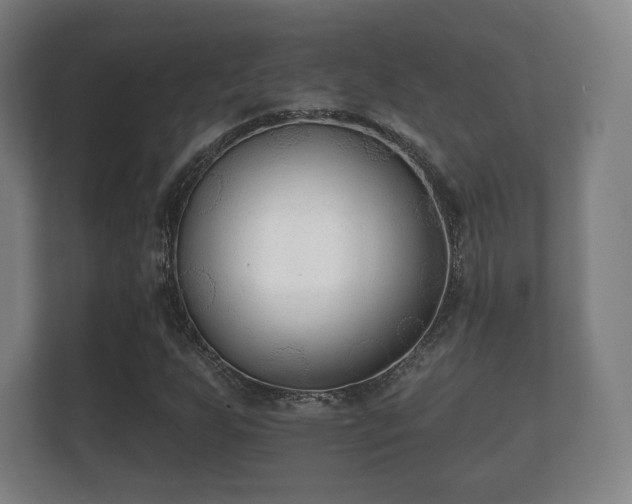 X0000112181255200908141319