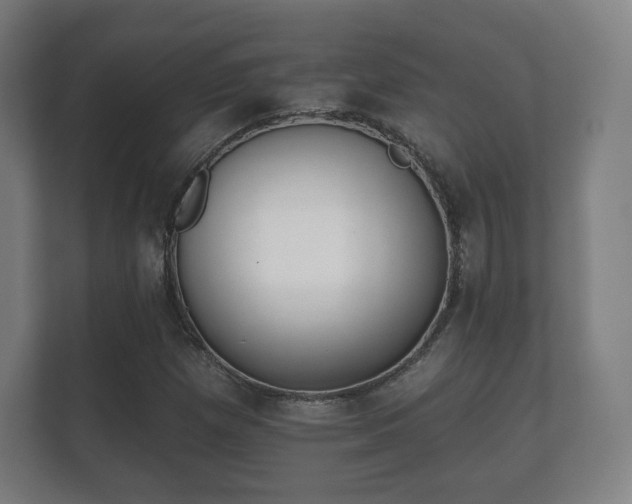 X0000112181257200908141319