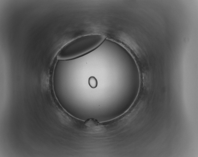 X0000112181260200908141318