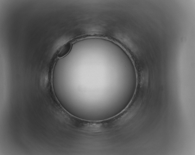 X0000112181261200908141318