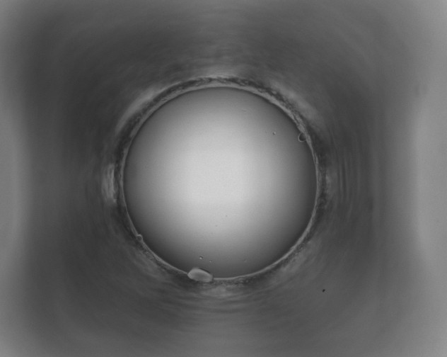 X0000112181262200908141318