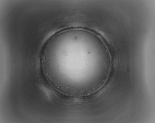 X0000112181263200908141318