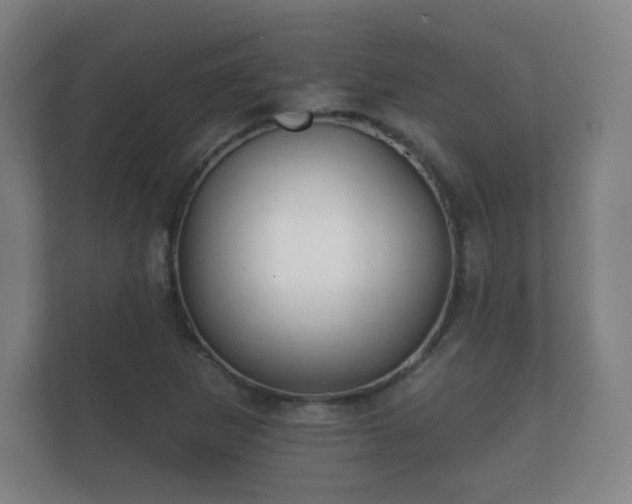 X0000112181265200908141318