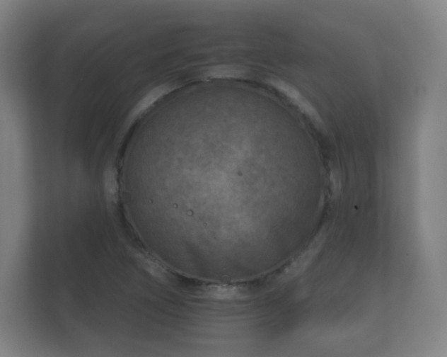 X0000112181266200908141318