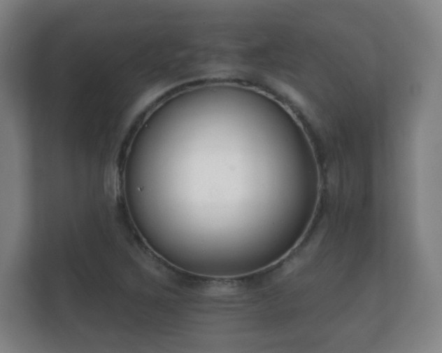 X0000112181267200908141318