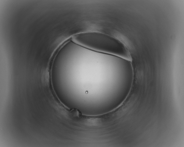 X0000112181268200908141318