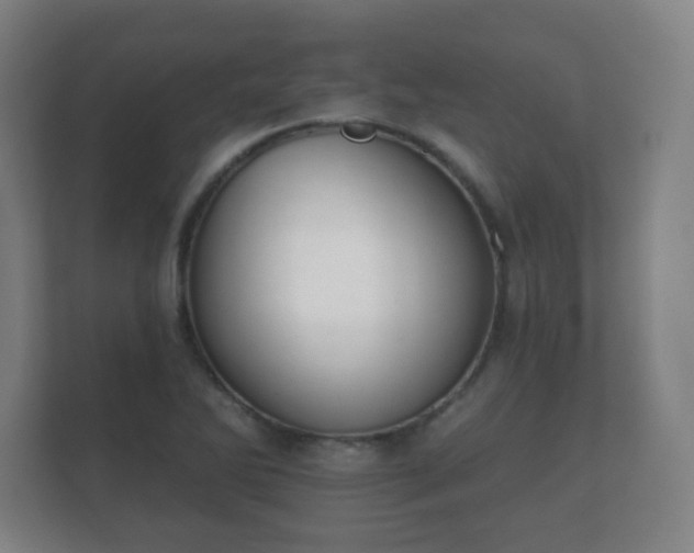 X0000112181270200908141318