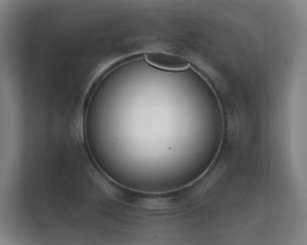 X0000112181272200908141318