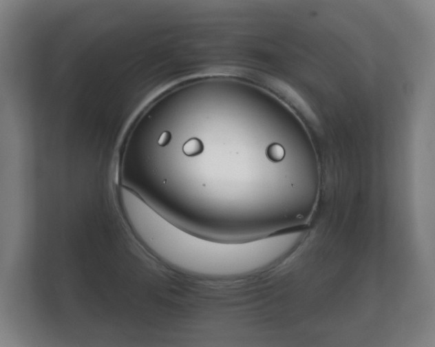 X0000112181276200908141318