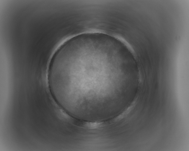 X0000112181278200908141318