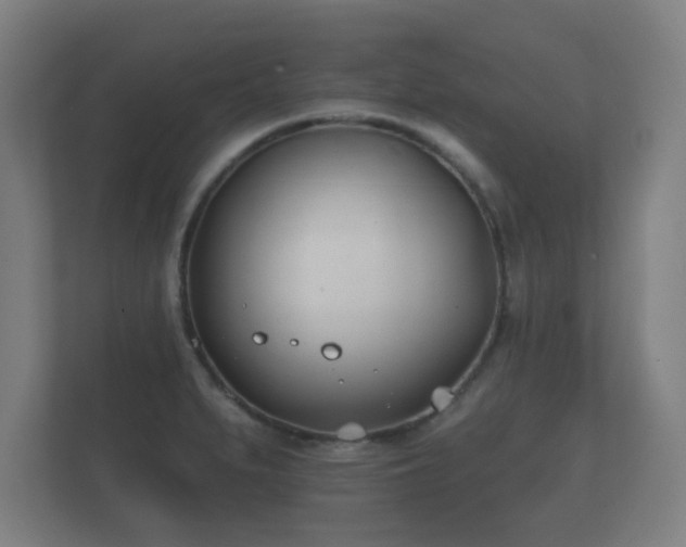 X0000112181279200908141318