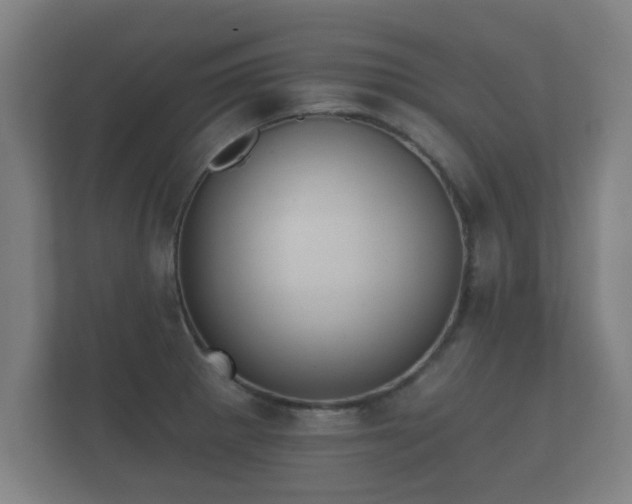 X0000112181281200908141318