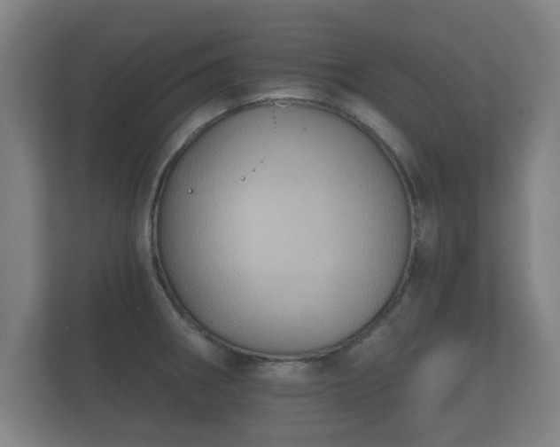 X0000112181282200908141318