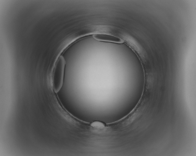 X0000112181284200908141318