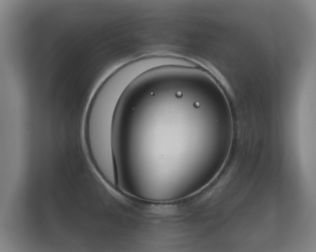 X0000112181285200908141318