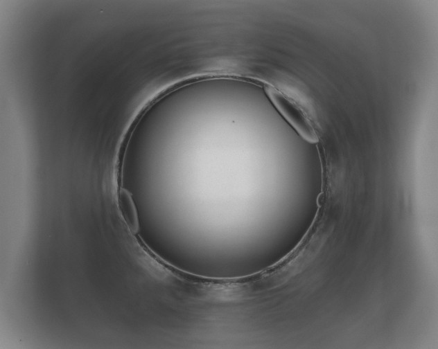 X0000112181288200908141318