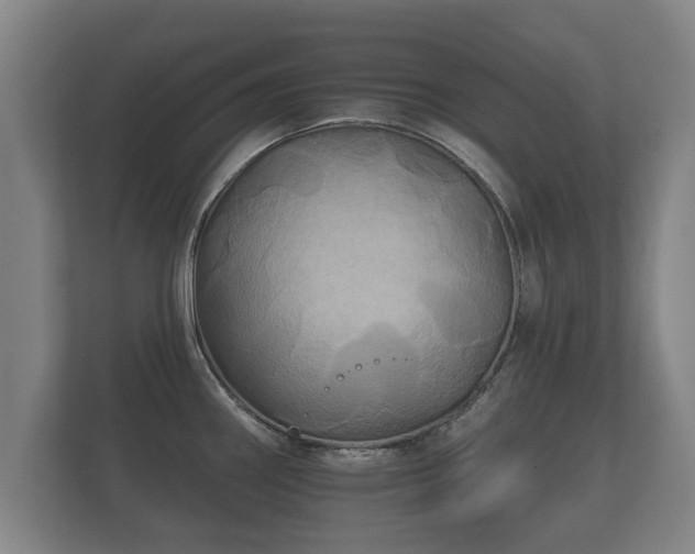 X0000112181290200908141318