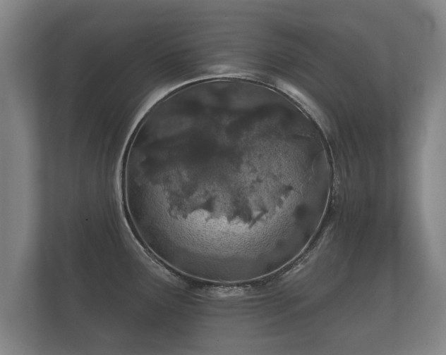 X0000112181291200908141318