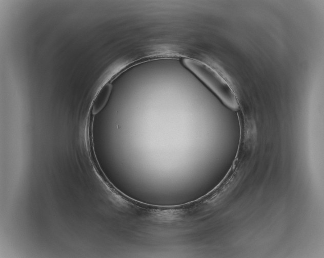 X0000112181293200908141318