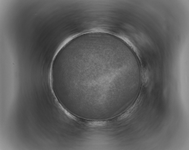 X0000112181294200908141318