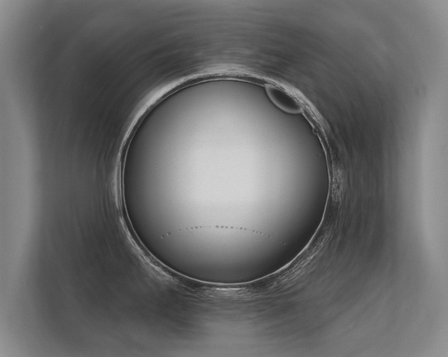 X0000112181295200908141318