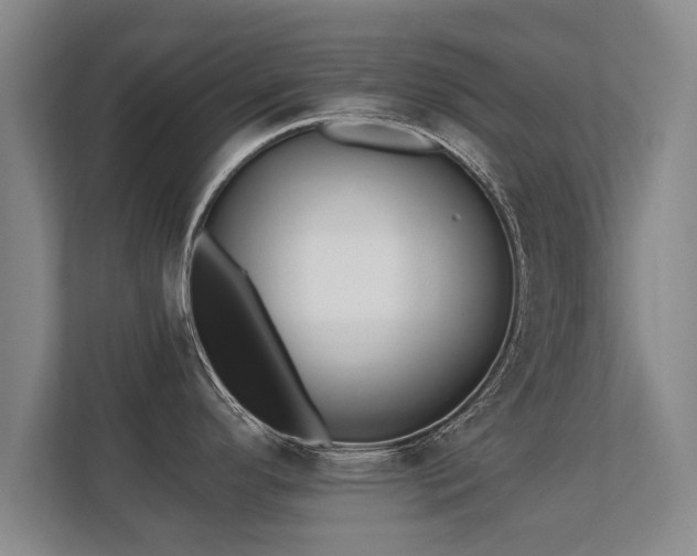 X0000112181296200908141318