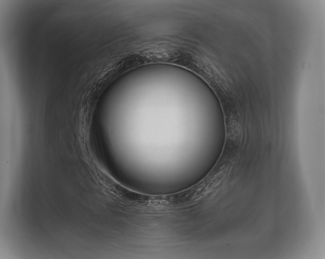 X0000112181297200908141317