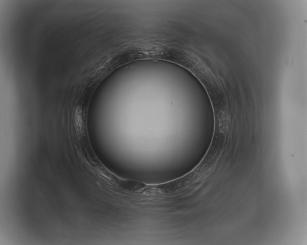 X0000112181298200908141317