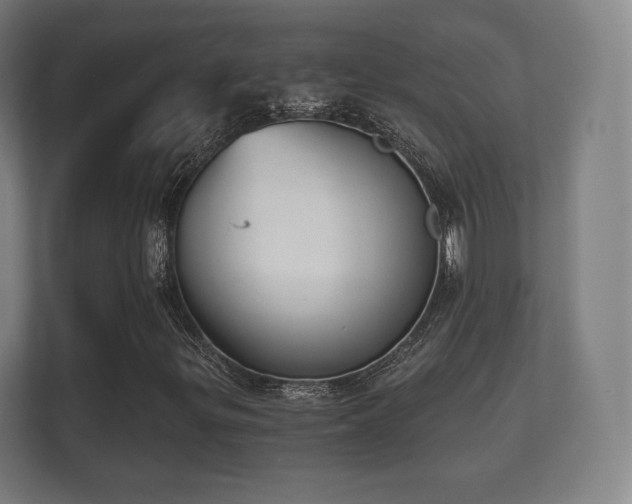 X0000112181299200908141317