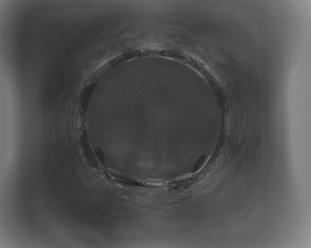 X0000112181303200908141317