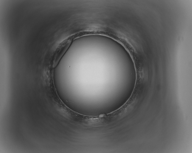 X0000112181304200908141318