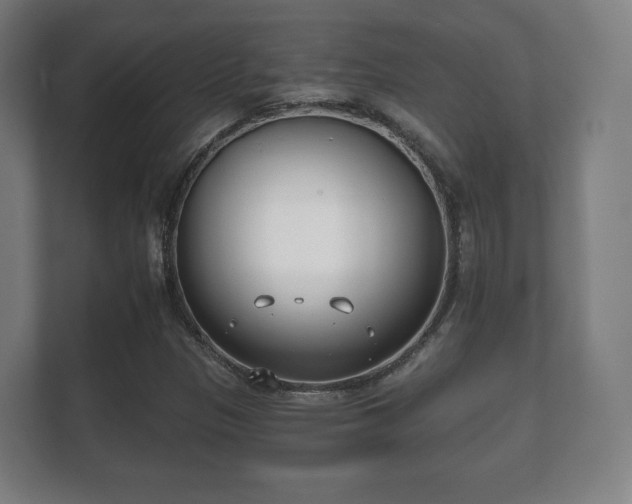 X0000112181305200908141318